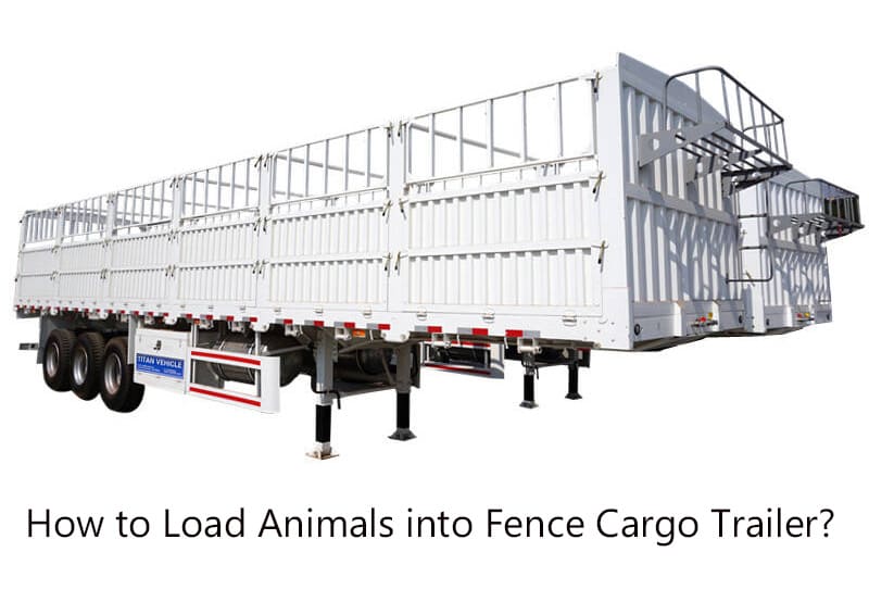 How to Load Animals into Fence Cargo Trailer