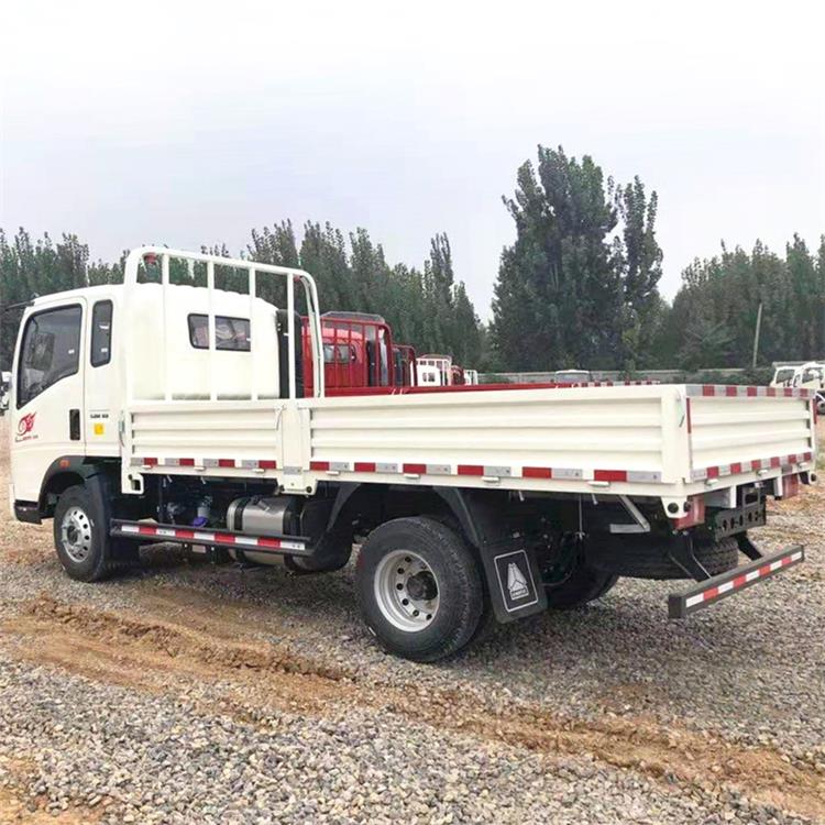 Howo 4x2 Light Cargo Truck 