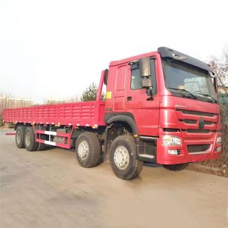 Howo 8x4 Cargo Truck